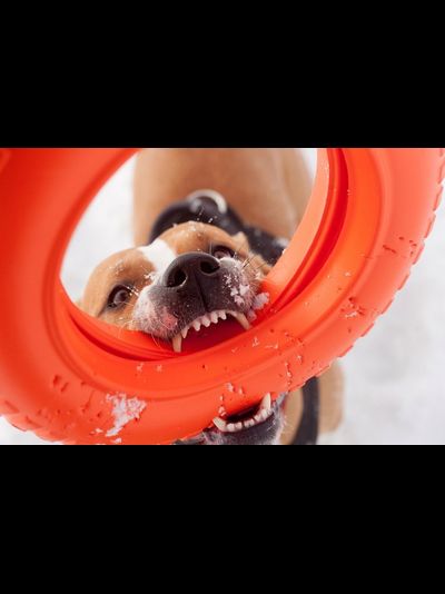 Doglike Кольцо  МЕГА (Оранжевый)