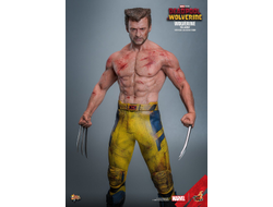 ПРЕДЗАКАЗ - Росомаха, Логан ("Дэдпул и Росомаха") - Коллекционная фигурка 1/6 Wolverine (TVA Jacket) (MMS756) - Hot Toys ?ЦЕНА: 44900 РУБ.?