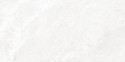 Настенная плитка Alma Ceramica TWU2550PRS07 249x500