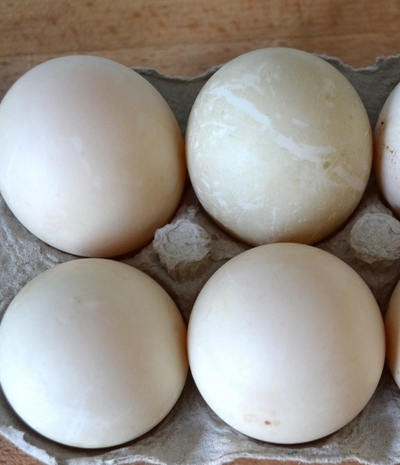 Яйцо утки купить с доставкой на дом | ферма СытникЪ