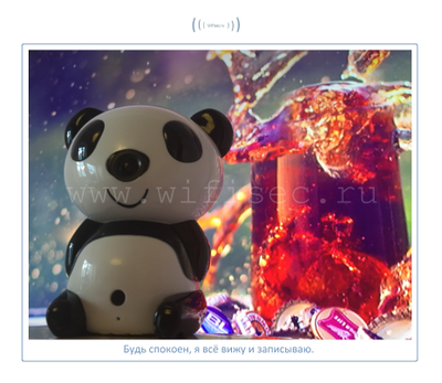 Видеоняня Panda WiFi-LAN видеокамера с DVR , HD (MIPC)