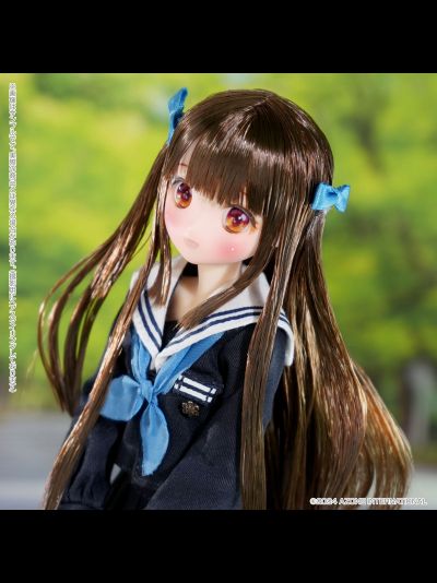 Кукла 1/6 Colorful Dreamin` Sakura Sakashita -Kina Kazuharu School Uniform Collection