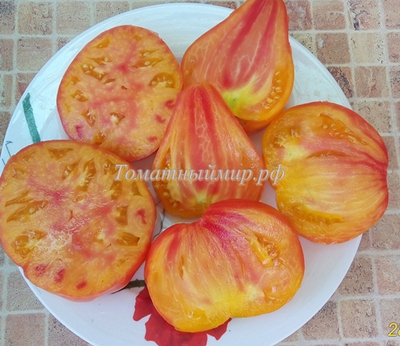 Томат Помаранч (Pomaranch)