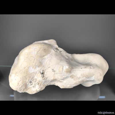 Кахолонг (разн. опала) с корочкой кенияита. Южный Урал. Россия. 230*130*100мм