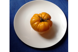 Ранний оранжевый Розали