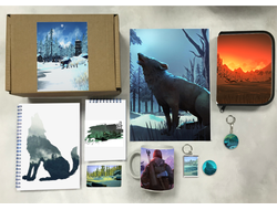 Бокс The Long Dark, Лонг Дарк №1