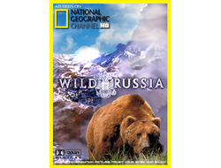 Флешка National Geographic Дикая природа России (6 серий)