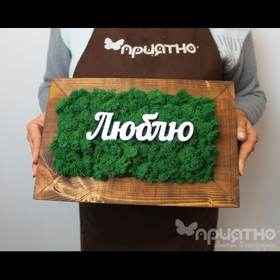 ЖИВАЯ ЭКО-КАРТИНА 1047