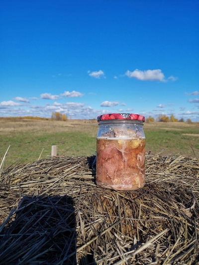 Тушенка из козлятины фермерская | ферма СытникЪ