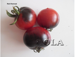 Red Charcoal. Самый ранний из фиолетовых томатов. 5 шт.