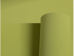 Фоамиран Иран 60х70 см 1мм цвет № 173 оливковый