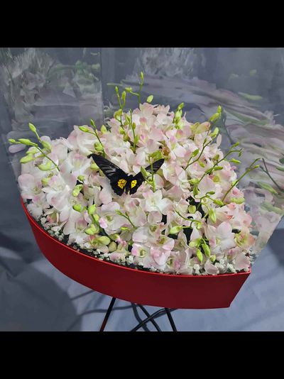 Большой букет с орхидей 201 шт. с большой бабочкой №111
