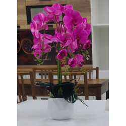Орхидея розовая 6 малая в горшке