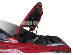 Амортизаторы капота АвтоУПОР (2 шт.) Hyundai Bayon 2021-