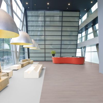 Биополы Wineo Purline 1000 Дуб Светло-Серебристый PL302R