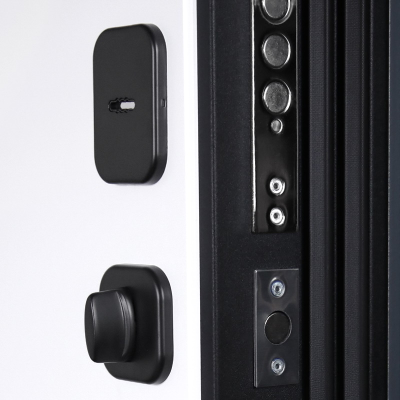 Стальная дверь   Токио. Заказная модель.