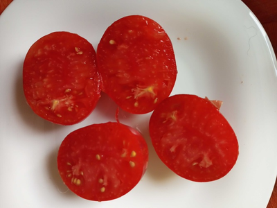 Томат Огненная комета Софии