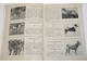 Охотничьи и комнатно-декоративные собаки. М.: Реклама. 1969г.