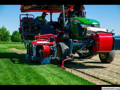 Рулонный газон Эталон