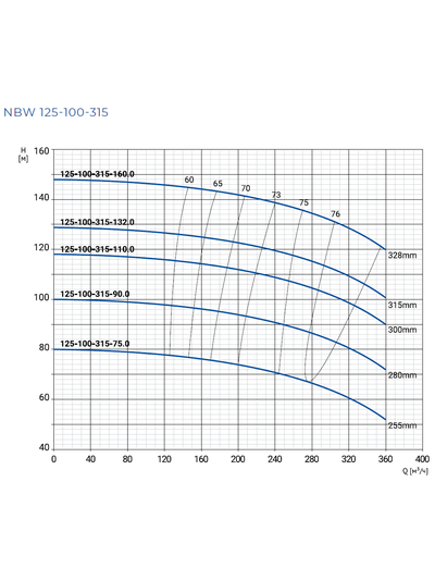 NBW 125-100-315-75.0/2-G