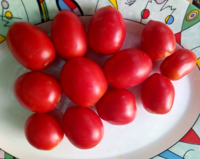 Томат Сахарная слива малиновая