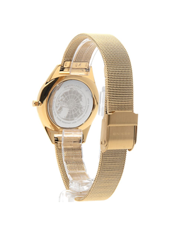 Наручные часы Bering 17031-334