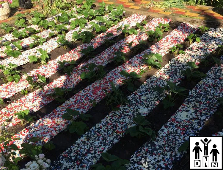 Дорожки для грядок между грядка