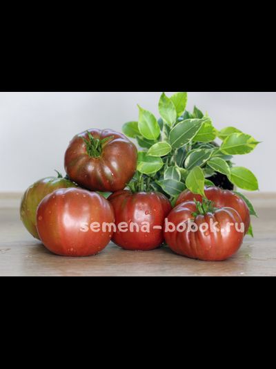 Томат Капитан Лаки (Captain Lucky), 10 шт.