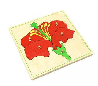 Части цветка (дер.пазлы с контуром)