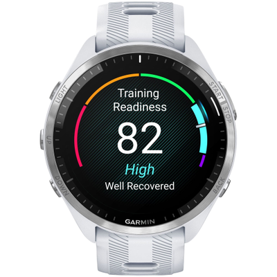 Умные часы Garmin Forerunner 965 Whitestone / Powder Gray Titanium