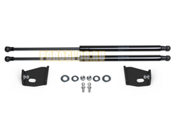 Амортизаторы капота АвтоУпор (2 шт.) Evolute I-Pro 2022-