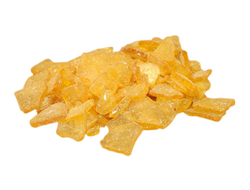 СОСНА ОБЫКНОВЕННАЯ