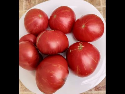 Томат Буйная красотка (Lovely lush,  Прекрасный пышный)