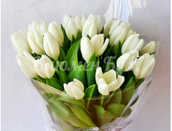 букет из белых тюльпанов в прозрачной пленке доставка в набережных челнах