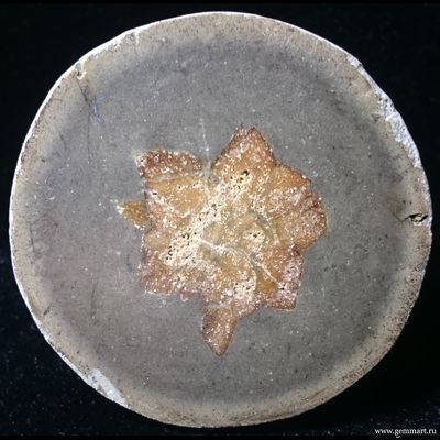 Глендонит - (Беломорская рогулька)