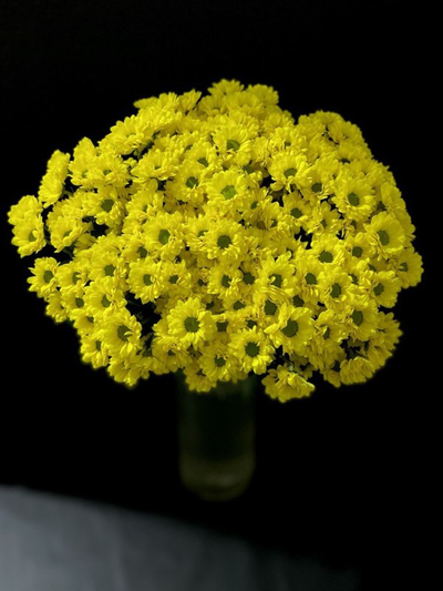 Сантини 25 шт