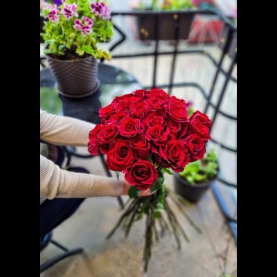 Роза Эквадор 90 см 25 шт