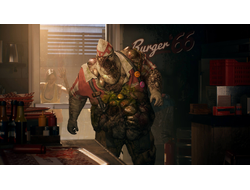 Игра Dead Island 2 (PS4)
