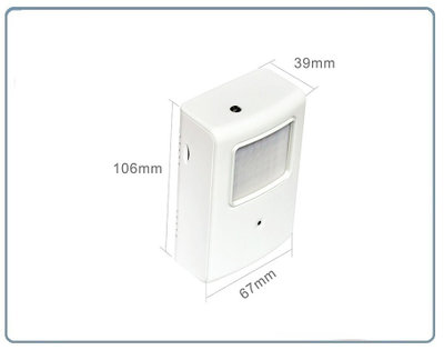 Охранная IP WiFi-LAN видеокамера с ночным видением и аудиоканалом (корпус ИК датчика), встроенный DVR. HD (Pro Ezcam)