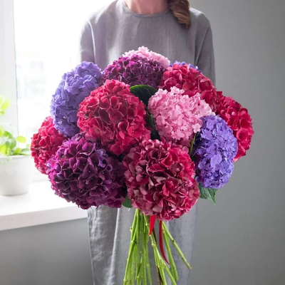 15 бело-розовых гортензий