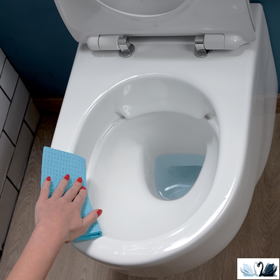 Унитаз Jacob Delafon Odeon Rive Gauche EDR102-00, подвесной, белый