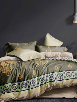 Постельное белье 2 спальное TANGO Dream Fly микросатин 180x210x1 220x245x1 70x70x2 DF02-322-70