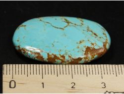 Бирюза, полировка плоская, США, Невада (34*22*5 мм, 6,4 г) №37843