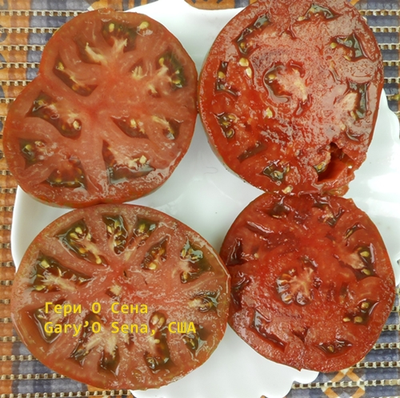 Томат Гари о Сена (Gary'O Sena)