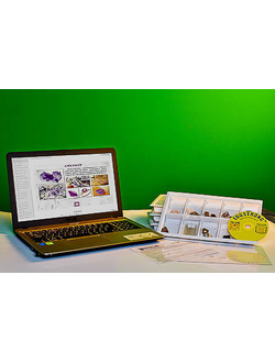 Коллекция натурально-интерактивная "Кварц в природе"