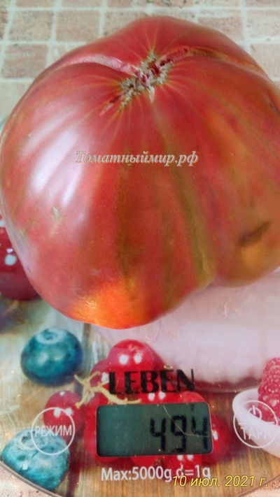 Томат Тундра (Tundra), Канада