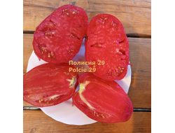 Томат Полиция 29 (Polcie 29). Польша