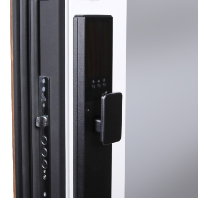 Стальная дверь   Plata с зеркалом (биометрический замок Smart lock Y23)