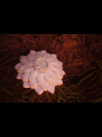 Перламутровое кольцо "Рассветный Цветок"