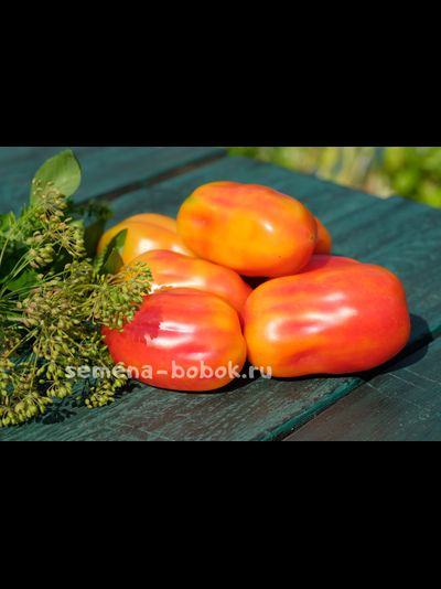 Томат Калифорнийский Тюльпан (Сalifornia Tulip), 10 шт